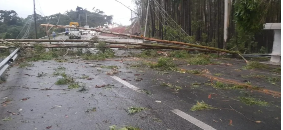 Captura de Tela 2023-11-06 a?s 14.48.09.png