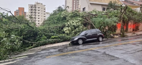 Captura de Tela 2023-11-08 a?s 15.22.23.png