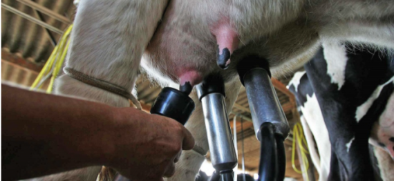 Captura de Tela 2024-05-28 a?s 12.21.34.png