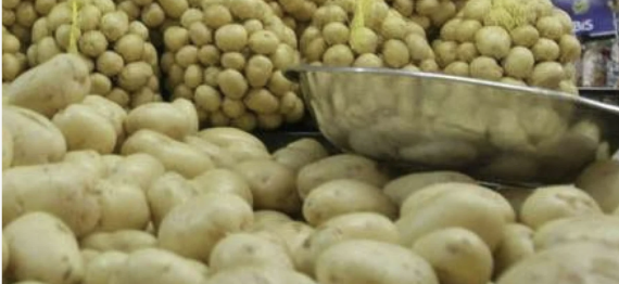 Captura de Tela 2024-06-17 a?s 13.56.01.png