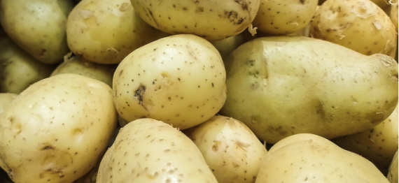 Captura de Tela 2024-06-26 a?s 14.35.26.png