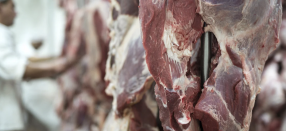 Captura de Tela 2024-07-09 a?s 10.16.56.png