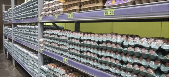 Captura de Tela 2025-05-21 a?s 15.09.43.png