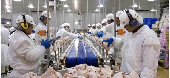 Captura de Tela 2025-05-26 a?s 15.15.38.png