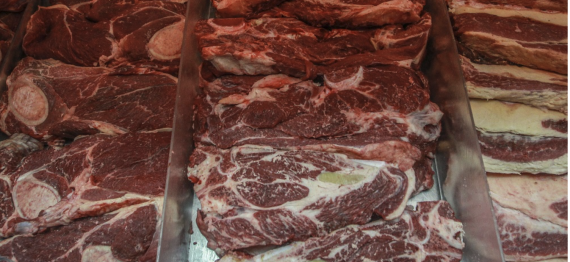 Captura de Tela 2025-07-30 a?s 15.11.17.png