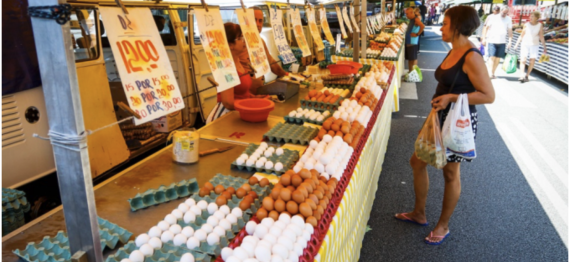 Captura de Tela 2025-08-13 a?s 11.29.42.png