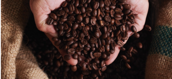 Captura de Tela 2025-04-14 a?s 10.05.41.png